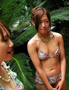 Many horny chicks fucked hard